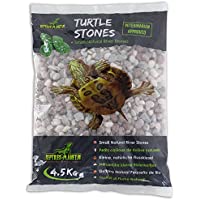 Los mejores  - Reptiles Planet pequeño Piedras de Río Colores Naturales para Tortuga acuáticos Turtle Stones 4-5 kg